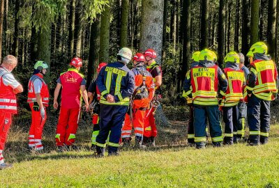 Fallschirmspringer landet in Baumkrone: Feuerwehr rückt im Erzgebirge auf Flugplatz aus - Großeinsatz für Feuerwehr und Rettungsdienst auf dem Flugplatz in Großrückerswalde. Foto: Feuerwehr Annaberg-Buchholz