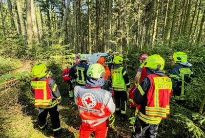 Fallschirmspringer landet in Baumkrone: Feuerwehr rückt im Erzgebirge auf Flugplatz aus - Großeinsatz für Feuerwehr und Rettungsdienst auf dem Flugplatz in Großrückerswalde. Foto: Feuerwehr Annaberg-Buchholz