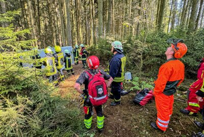 Fallschirmspringer landet in Baumkrone: Feuerwehr rückt im Erzgebirge auf Flugplatz aus - Fallschirmspringer landet im Baum. Foto: Feuerwehr Annaberg-Buchholz