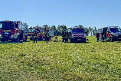 Fallschirmspringer landet in Baumkrone: Feuerwehr rückt im Erzgebirge auf Flugplatz aus - Noch vor Eintreffen des Rettungshubschraubers konnte die Person über eine Rettungswindel zum Boden transportiert werden. Foto: Feuerwehr Annaberg-Buchholz