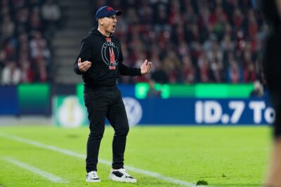 FC-Coach Struber: Keine klare Aussage zur Torwartfrage - Kölns Keeper Struber lässt offen, wer gegen Hertha im Tor steht. 