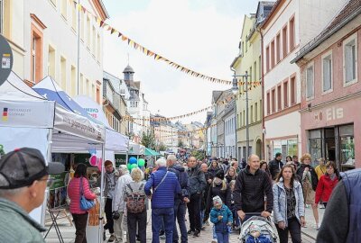 Festumzug zum 25. Sächsischen Landeserntedankfest: Ein buntes Spektakel in Mittweida - Eindrücke vom Festumzug und der Innenstadt. Foto: Andrea Funke 