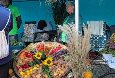 Festumzug zum 25. Sächsischen Landeserntedankfest: Ein buntes Spektakel in Mittweida - Eindrücke vom Festumzug und der Innenstadt. Foto: Andrea Funke 