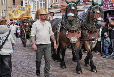 Festumzug zum 25. Sächsischen Landeserntedankfest: Ein buntes Spektakel in Mittweida - Eindrücke vom Festumzug und der Innenstadt. Foto: Andrea Funke 