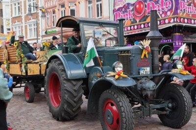 Eindrücke vom Festumzug und der Innenstadt. Foto: Andrea Funke 