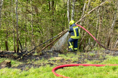 Feuer in Pöhla: Einsatzkräfte bringen Waldbrand unter Kontrolle - Etwa 500 Quadratmeter Waldfläche brannten in Pöhla. Foto: Daniel Unger