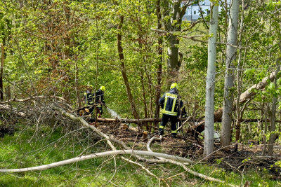 Feuer in Pöhla: Einsatzkräfte bringen Waldbrand unter Kontrolle - Die Polizei ermittelt wegen versuchter Brandstiftung. Foto: Daniel Unger