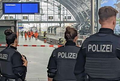 Feuerwehreinsatz am Leipziger Hauptbahnhof: Brand unter MRB-Zug - Unter einem MRB-Zug brannte es heute Mittag am Leipziger Hauptbahnhof. Foto: Privat