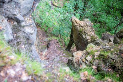 Frau stürzt 25 Meter in die Tiefe: Helikopter-Rettung nach schwerem Wanderunfall -  Die Frau wanderte allein auf dem Forststeig in Richtung Tschechien, als sie nach etwa einem Kilometer aus ungeklärter Ursache vom Weg abkam und stufenweise in die Tiefe stürzte. Foto: Marko Förster