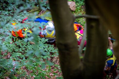 Frau stürzt 25 Meter in die Tiefe: Helikopter-Rettung nach schwerem Wanderunfall -  Die Frau wanderte allein auf dem Forststeig in Richtung Tschechien, als sie nach etwa einem Kilometer aus ungeklärter Ursache vom Weg abkam und stufenweise in die Tiefe stürzte. Foto: Marko Förster