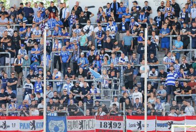 FSV verliert 1:6 gegen Zweitligist Hertha BSC - Der Fansblock von Hertha BSC darf sich über einen Sieg freuen. Foto: PICTURE POINT / Gabor Krieg