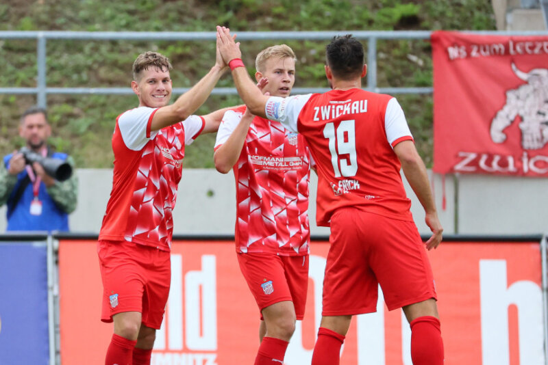 FSV Zwickau Holt Ersten Saisonsieg Vor Begeisterten Fans