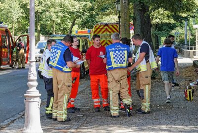 Fünf Verletzte bei Brand in Mehrfamilienhaus - Als die ersten Einsatzkräfte die Einsatzstelle erreichten, trafen sie Personen im Treppenraum an, welche bereits ihre Wohnungen verlassen und daraufhin giftigen Brandrauch eingeatmet hatten. Foto: Roland Halkasch