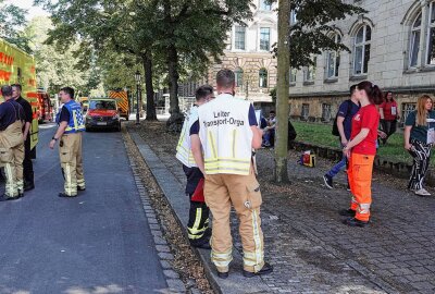 Fünf Verletzte bei Brand in Mehrfamilienhaus - Da die Einsatzleitung von einer größeren Zahl an Verletzten ausgehen musste, wurde das Alarmstichwort auf MANV erhöht. Foto: Roland Halkasch