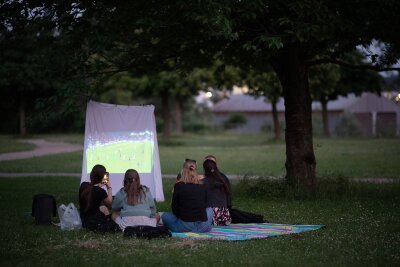 Fußball-EM: Was Fans tun dürfen - und was nicht - Interessantes Setting mit Leinwand im Park: Solche privaten Fußballabende sind aus rechtlicher Sicht problemlos möglich.