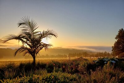 Garden Route für Frühaufsteher: Südafrika als Vogelparadies - Früh aufstehen empfiehlt sich als Vogelbeobachter: Sonnenaufgang nahe der Stadt George an der Garden Route.