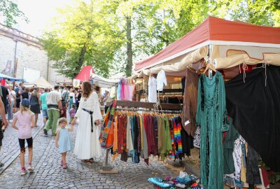 Gaumenfreuden und mehr beim Mittelaltermarkt auf Burg Mylau - Ein Blick zurück: Der Mittelaltermarkt in Mylau. Foto: Simone Zeh