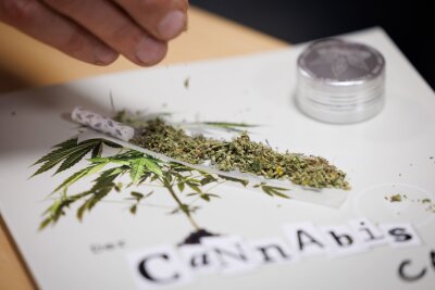 Gewerkschaft: Cannabisgesetz hat sich nicht bewährt - Seit 1. Juli können Erwachsene in nicht-kommerziellen "Anbauvereinigungen" Cannabis gemeinsam anbauen und untereinander zum Eigenkonsum abgeben. Zuvor müssen sie allerdings eine Erlaubnis beantragen.