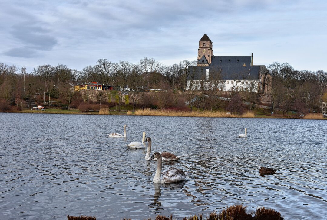 Giftige Blaualgen im Schloßteich: Baden für Mensch und Tier nicht gestattet - Der Chemnitzer Schlossteich. Foto: bl/Eva-Maria Gey