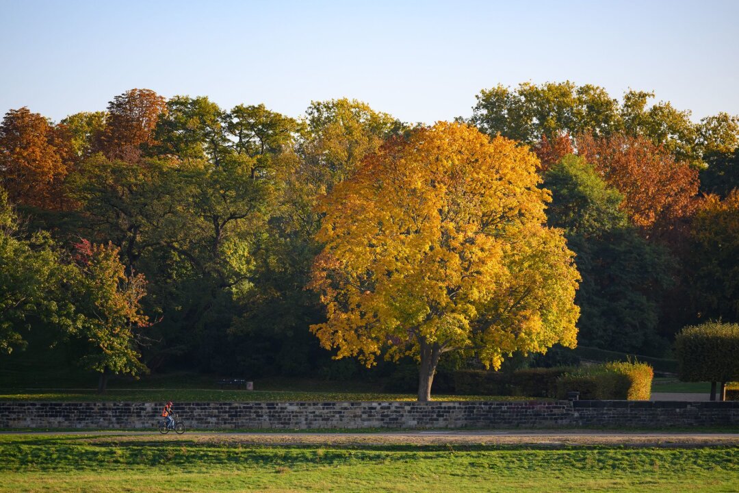 Goldener Oktober bringt stellenweise mehr als 20 Grad - Mehr als 20 Grad sagt der Deutsche Wetterdienst (DWD) für das Wochenende vorher.