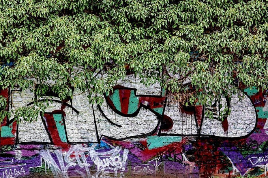 Graffiti gegen Polizei: Riesige Parolen gesprüht - Symbolbild. Foto: Pixabay