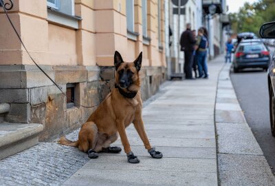 Großaufgebot der Polizei in Freiberg: Eine Person verhaftet - Drei Wohnungen und Büroräume wurden durchsucht. Foto: Marcel Schlenkrich