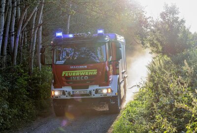 Großbrand bei Zwickau: Flammen breiten sich schnell aus - Am Samstagabend gegen 19.25 Uhr kam es zu einem größeren Feuer auf einem Gelände an der Achatstraße in St. Egidien. Foto: Andreas Kretschel