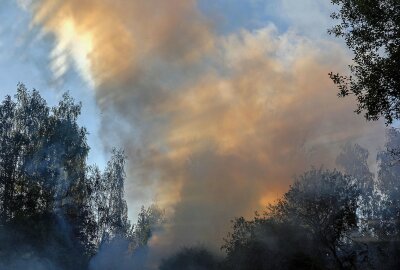 Großbrand bei Zwickau: Flammen breiten sich schnell aus - Die Rauchsäule war kilometerweit zu sehen. Foto: Andreas Kretschel