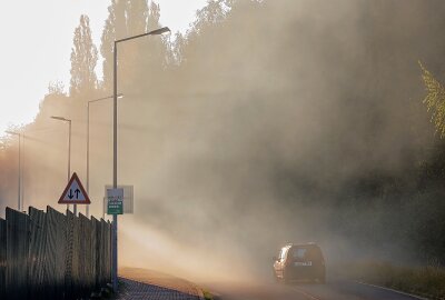 Großbrand bei Zwickau: Flammen breiten sich schnell aus - Die Rauchsäule war kilometerweit zu sehen. Foto: Andreas Kretschel