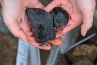 Große bronzezeitliche Siedlung in Döbeln entdeckt - Die Archäologen fanden unter anderem Keramikscherben. 