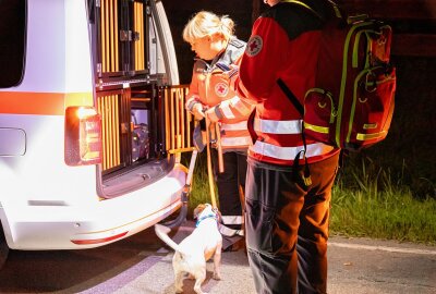 Große Suchaktion im Erzgebirge: Zweijähriger am späten Abend von Bauernhof verschwunden -  Am Mittwochabend verschwand ein erst 2-jähriger kleiner Junge, spurlos. Foto: André März