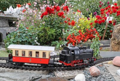 Großer Bahnhof beim Schreiersgrüner Dahlienzüchter - Im Grundstück der Hofmanns rattern die Modellbahnzüge im Minutentakt durch blühende Landschaften. Foto: Thomas Voigt