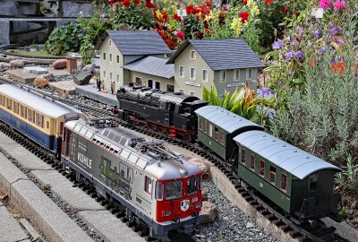 Großer Bahnhof beim Schreiersgrüner Dahlienzüchter - Am Bahnhof "Dahlienfeld" herrscht große Betriebsamkeit. Foto: Thomas Voigt