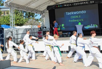 Großes Familienfest: Wohnungsgenossenschaft Freiberg feiert 70-jähriges Jubiläum - Auf der Bühne: Taekwondo Chon JI Freiberg e.V. Foto: Renate Fischer