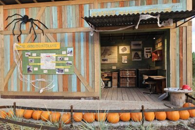 Halloween-Spaß bei Karls: Ein Besuch im Grusel-Dorf in Döbeln - Karls Erlebnis-Dörfer haben sich auch dieses Jahr in ein herbstliches Wunderland verwandelt, das mit kreativen Ideen und spannenden Attraktionen alle Altersgruppen anspricht.