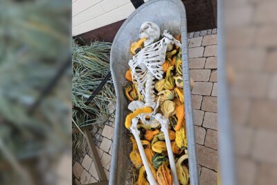 Halloween-Spaß bei Karls: Ein Besuch im Grusel-Dorf in Döbeln - Die Besucher hatten sich einen Scherz erlaubt, der für ein Lächeln oder Scham bei den Gästen sorgte.