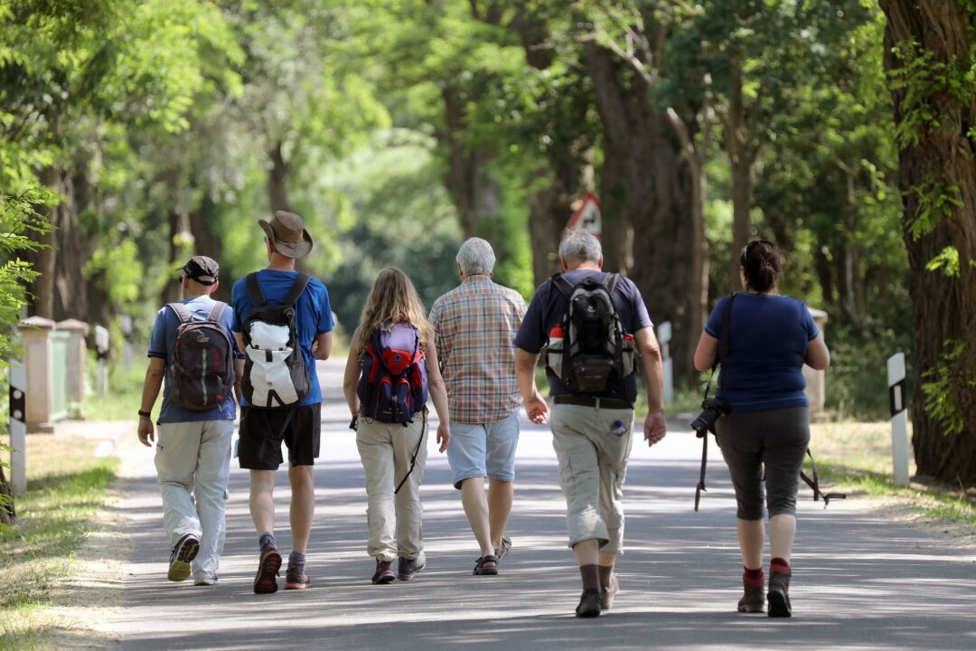 Heilsame Auszeit: So geht das Fastenwandern - Tägliche Bewegung in Form von Spaziergängen gehört beim Fastenwandern dazu.