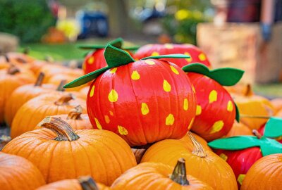 Herbsthighlight bei Karls: Kürbis-Zeit und Grusel-Oktober gleichzeitig erleben - Auf dem Kürbismarkt sind verschiedene Kürbissorten zu sehen. Foto: Lenny Marvin Turzer