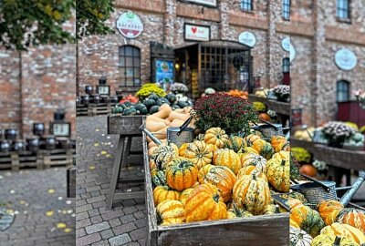 Herbsthighlight bei Karls: Kürbis-Zeit und Grusel-Oktober gleichzeitig erleben - Der Eingang zum Karls Erlebnis Dorf. Foto: Karls Erlebnis-Dorf