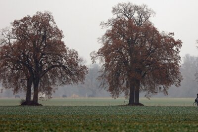 Herbstlich graues Wetter in Sachsen - dann Regen und Schnee - Herbstlich grau startet das Wochenende in Sachsen. Am Sonntag beginnt es zu regnen und im Bergland schneit es. (Symbolbild)