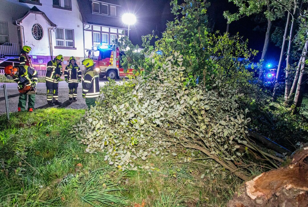 Herbststurm im Erzgebirge: Sturmböen entwurzeln Bäume auf Bundesstraße - Das Sturmtief "Constanze" zieht derzeit über Sachsen. Foto: André März