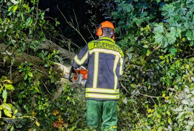 Herbststurm im Erzgebirge: Sturmböen entwurzeln Bäume auf Bundesstraße - Das Sturmtief "Constanze" zieht derzeit über Sachsen. Foto: André März