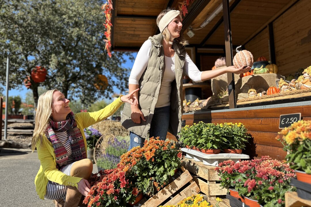 Hier entstehen Sachsens größte Kürbispyramide und Dinosaurier mit bis zu 8 Metern Länge - Der Herbst nähert sich mit großen Schritten, und in Freital hat er bereits Einzug gehalten. 