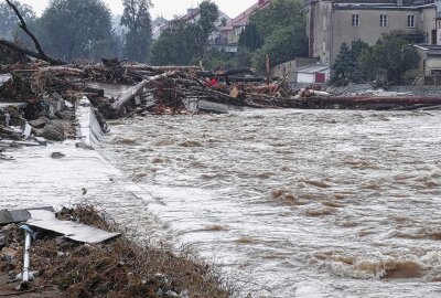 Hochwasserkatastrophe in Tschechien und Polen: Starke Schäden auf Straßen und Häuser - Große Baumstämme haben sich an Brückenpfeilern verfangen. Im Bild: Głubczyce. Foto: Bernd März