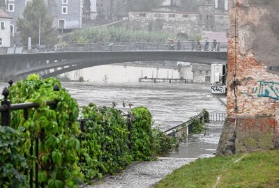 Hochwasserlage in Görlitz weiter angespannt: B99 gesperrt - In Görlitz sorgt anhaltender Regen für Überschwemmungen. Foto: xcitepress