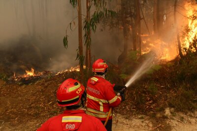 Höchste Alarmstufe beim Zustand des Weltklimas - Die Zahl der Waldbrände wächst mit dem Klimawandel (Archivbild)