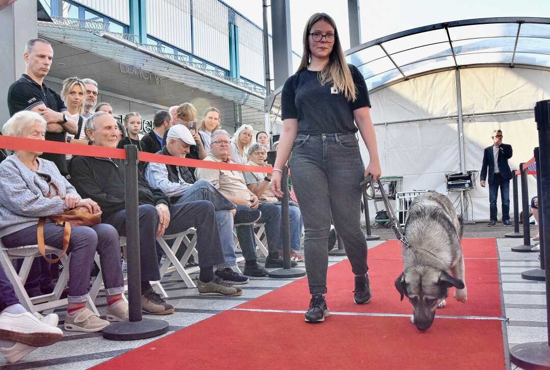 Hunde in den Mittelpunkt gerückt im Chemnitz-Center - Am Samstag präsentierten sich Tierheime mit ihren Vierbeinern im Chemnitz Center. Foto: Steffi Hofmann