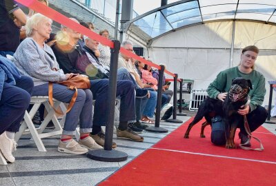 Hunde in den Mittelpunkt gerückt im Chemnitz-Center - Hunde suchen ein neues Zuhause. Foto: Steffi Hofmann