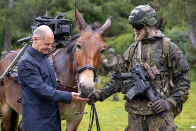 Ifo: Zwei Prozent des BIP für Verteidigung reicht nicht - Braucht die Bundeswehr deutlich mehr Geld?