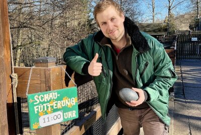 Im Zoo der Minis läuft bis Sonntag das "Ferienprogramm" - Bis 26. Februar laufen im Auer Zoo der Minis täglich Schaufütterungen - im Bild Zootierpfleger Peter Hömke. Foto: Ralf Wendland